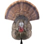 Avian X Lcd Strutter Decoy -