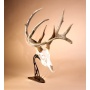 Skull Hooker Table Hooker - Powder Coat Brown!