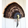 Do-all Turkey Tail Mount Kit - Iron Turkey