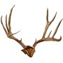 Skull Hooker Skull Cap For Use - W-skull Hooker Bone Bracket!