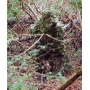Titan Leafy Suit Mossy Oak - Obsession Nwtf 2-3xl Pants-top