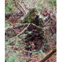 Titan Leafy Suit Mossy Oak - Obsession Nwtf L-xl Pants-top