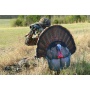 Montana Decoy Turkey Gobbler - Fanatic 2d