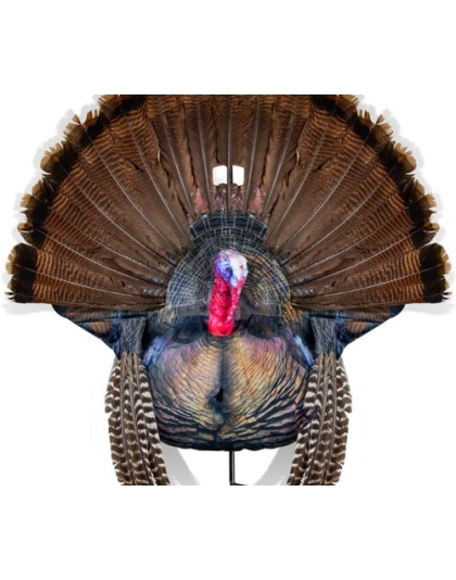 Montana Decoy Turkey Wiley - Tom