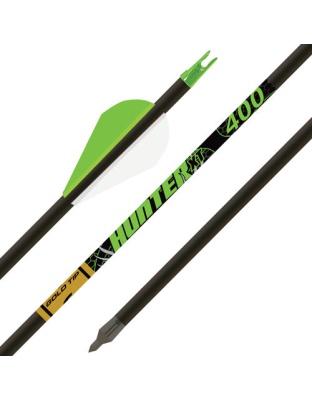Gold Tip Arrow Hunter Xt 400 - 2" Raptor Vanes 1-2doz