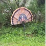 Mojo Fatal Fan Turkey Fan - Decoy