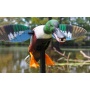 Mojo Elite Series Spoonzilla - Mallard Drake Decoy