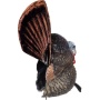 Flextone Thunder Creeper - Strutter Decoy W- Folding Fan
