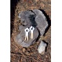 Hme Scent Drag Economy -
