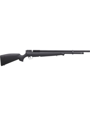 Benjamin Pcp Fortitude G2 .177 - Cal. Air Rifle Syn. Stock !!!