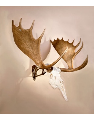 Skull Hooker Big Hooker - Graphite Brown