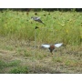 Avian X Spinning Wing Dove - Decoy