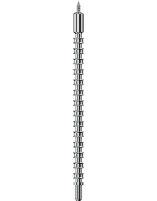 Real Avid Bore Max Speed Jag - .243