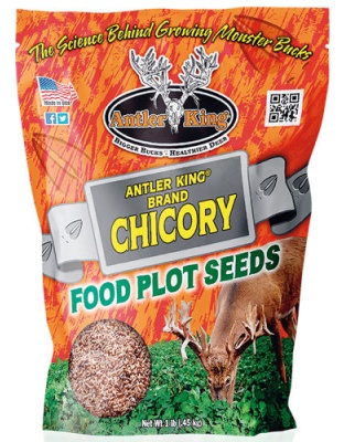 Antler King Chicory 1# Bag - Perennial 1-4 Acre