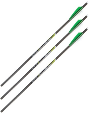 Allen Xbow Arrow 20" Cx600 3" - Vanes Moon Nock 3pk