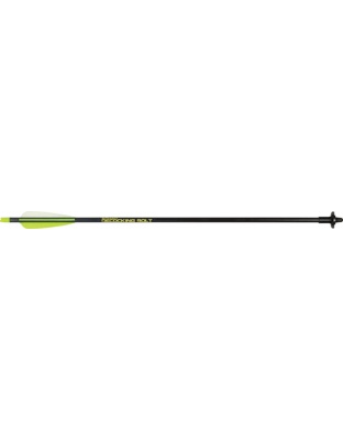 Allen Xbow Discharge Arrow 24" - Fiberglass 1-2 Moon Nock