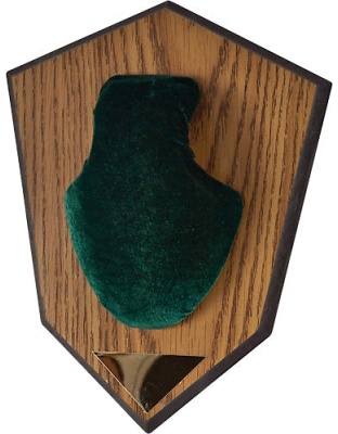 Allen Antler Mounting Kit - Green