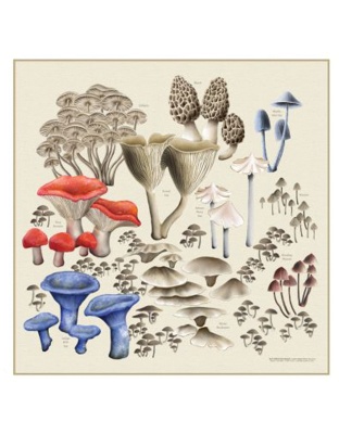 Mushroom Bandana