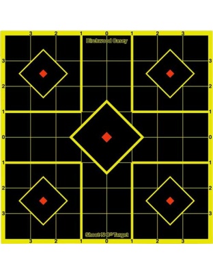 Birchwood Casey B/C Target Shoot-N-C 8" Sight-in 15 Targets