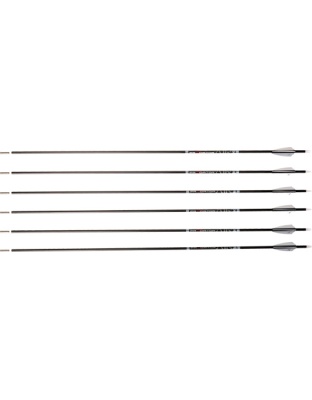Carbon Express Arrow Predator Air 400 2" Q2i Vanes 6-Pack