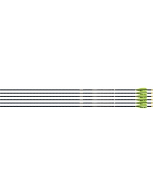 Easton 4 mm Emj Match Grade 400 6-Pack with 3" Aae Hybrid Vanes