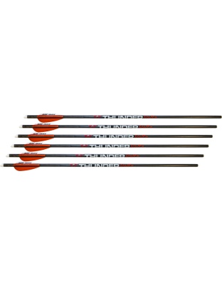 Pse Archery Xbow Arrow Thunderbolt 22" Fits Pse Fang Xbow 6-Pack