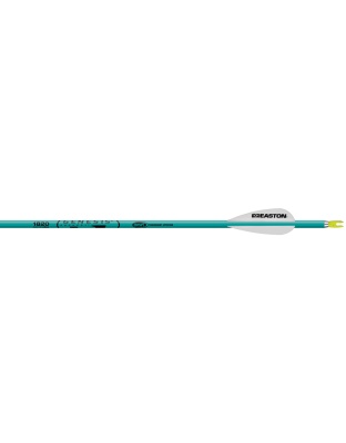Easton Genesis Arrows Teal 1820 6 pk.