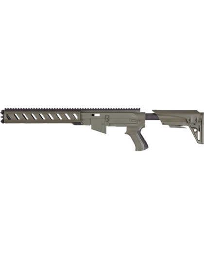 Advanced Tech Ruger AR22 Stock System with 6 Sided Forend Urban