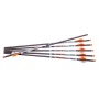 Ravin Premium Crossbow Bolts 400 gr.001 6/ct