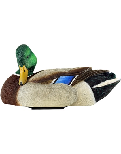 Avian X Power Shaker Mallard Drake Preener Decoy
