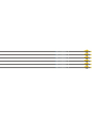 Easton Arrow Sonic 6.0 500 with 2" Bully Vanes 6-Pack