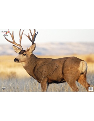 Birchwood Casey B/C Target Eze-Scorer 23"X35" Mule Deer 2 Targets