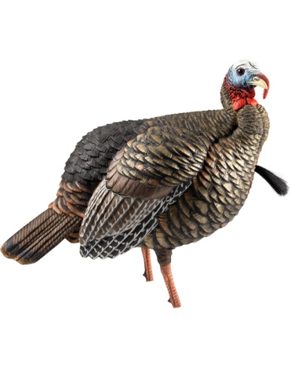 Avian X Hdr Jake Decoy