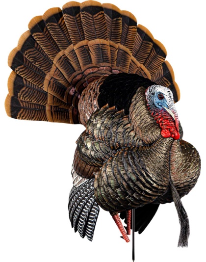 Avian X Hdr Strutter Decoy