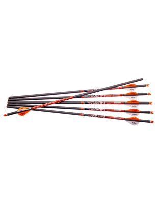Ravin Crossbow Bolts 400 gr.003 6/ct