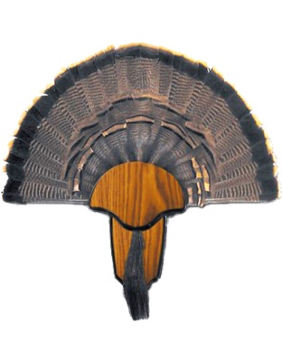 Hunters Specialties Strut Mounting Kit Turkey Tail & Beard