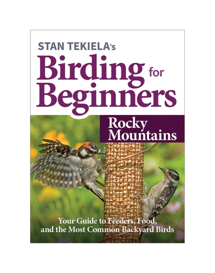 Birding For Beginners: Rockies