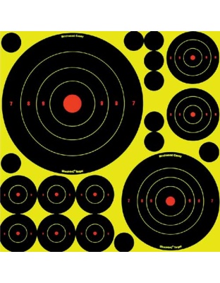 Birchwood Casey B/C Target Shoot-N-C Assorted 1"-50 2"-30 3"-10 5.5"-5 8"-5
