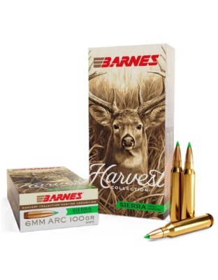 Barnes Harvest 6 mm ARC100GR Tipped Gameking 20 Rounds