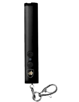 Guard Dog Security Enlight Mini Stun Gun Black