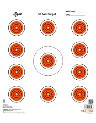 Allen Ez Aim 11 Spot Target 13-Pk 12"X12"