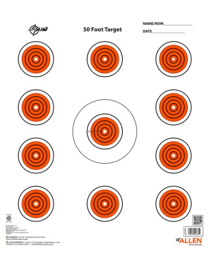 Allen Ez Aim 11 Spot Target 13-Pk 12"X12"