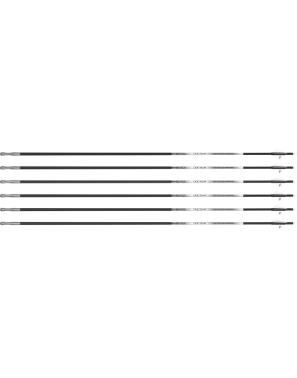 Scott Archery Altra Arrows 204 Centrum Premier 250 32" 6-Pack Fletched*